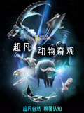 超凡动物奇观中文}