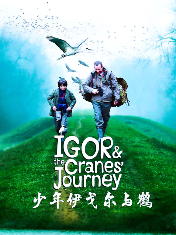 少年伊戈尔与鹤普通话}