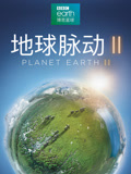 地球脉动第二季中文版}
