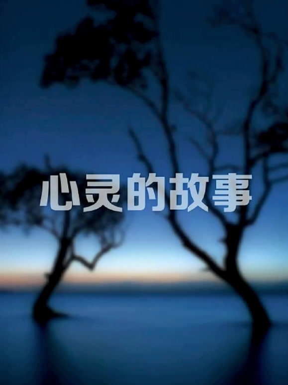 心灵的故事}