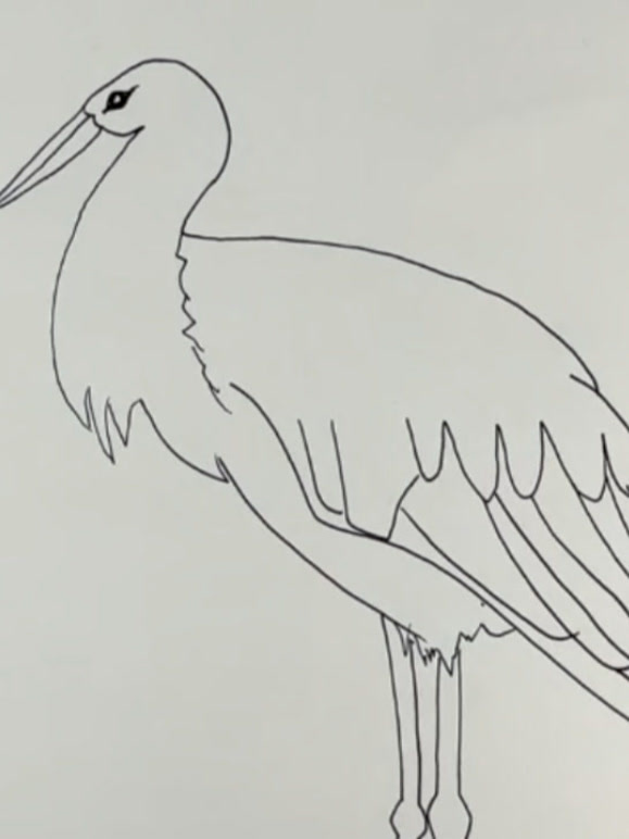 动物，人物，植物，风景儿童简笔画教程}