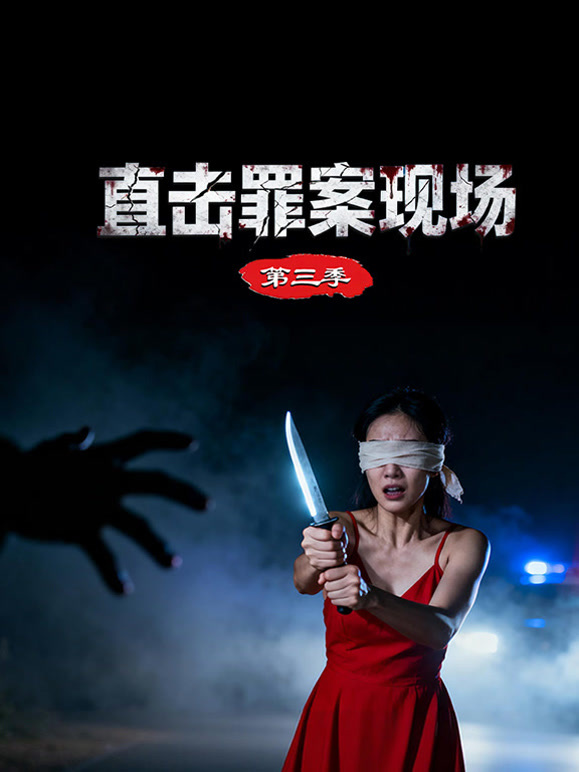 直击罪案现场第三季}