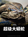 超级大蟒蛇}