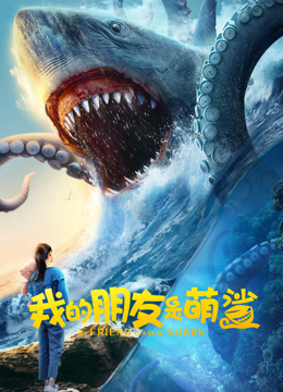 我的朋友是萌鲨}