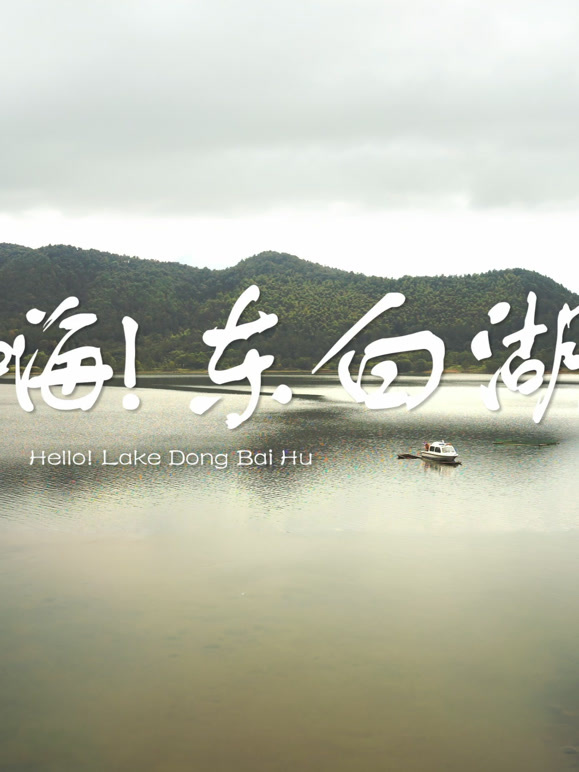 嗨，东白湖}