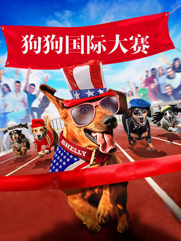 狗狗国际大赛}