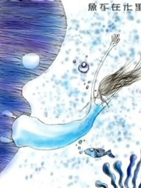 鱼不在水里}