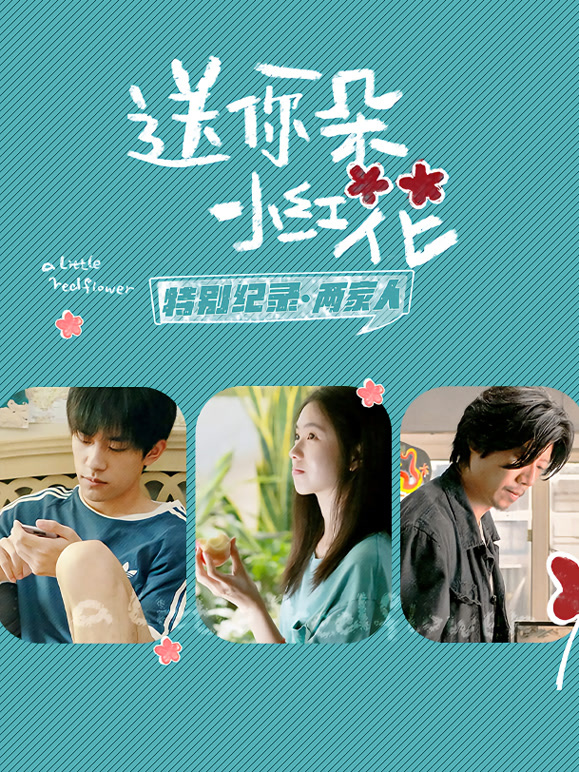 送你一朵小红花·特别纪录第二集}