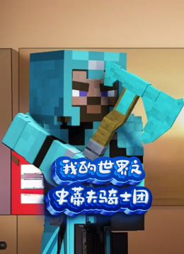 我的世界之史蒂夫骑士团}