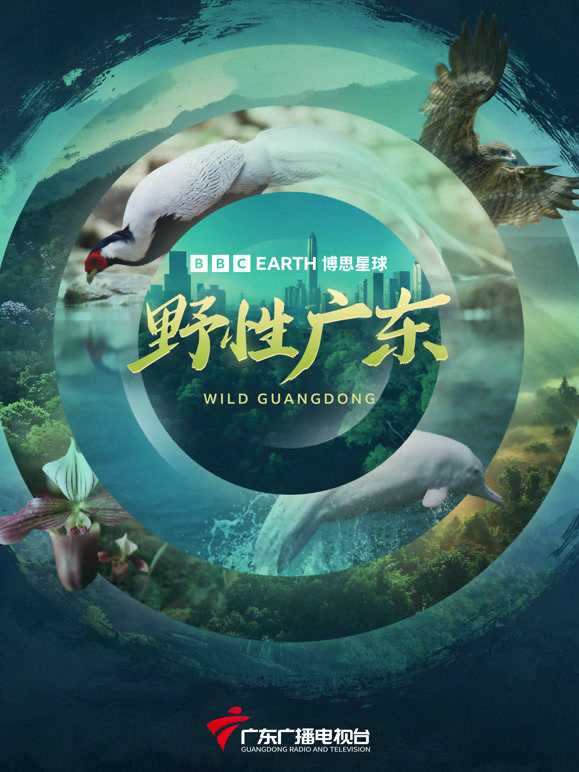 野性广东}