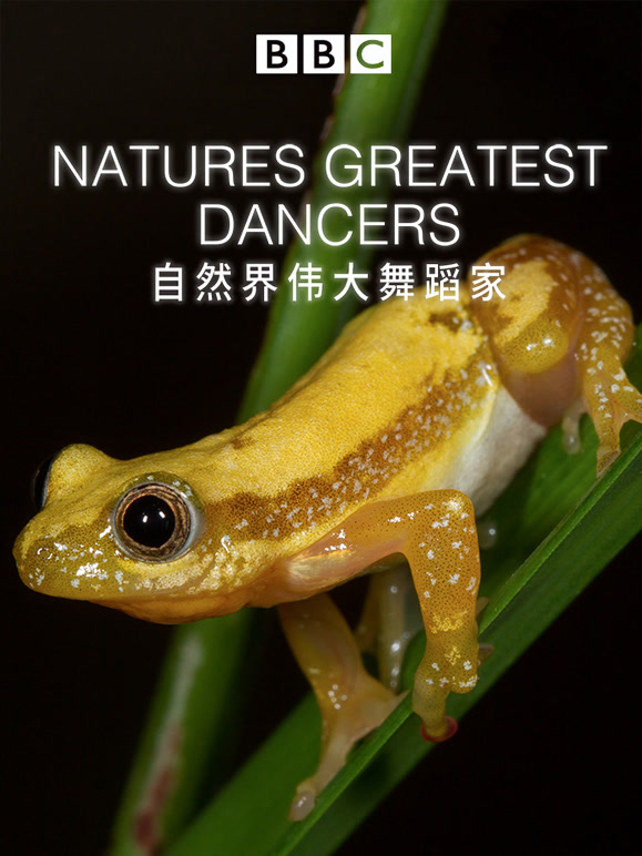 自然界伟大的舞蹈家}