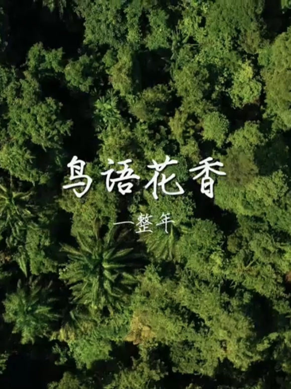 鸟语花香一整年}