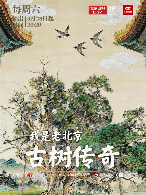 我是老北京古树传奇}