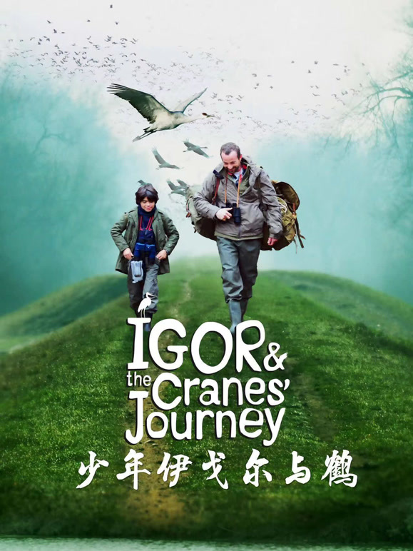 少年伊戈尔与鹤}