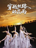 穿越丝路的花雨}