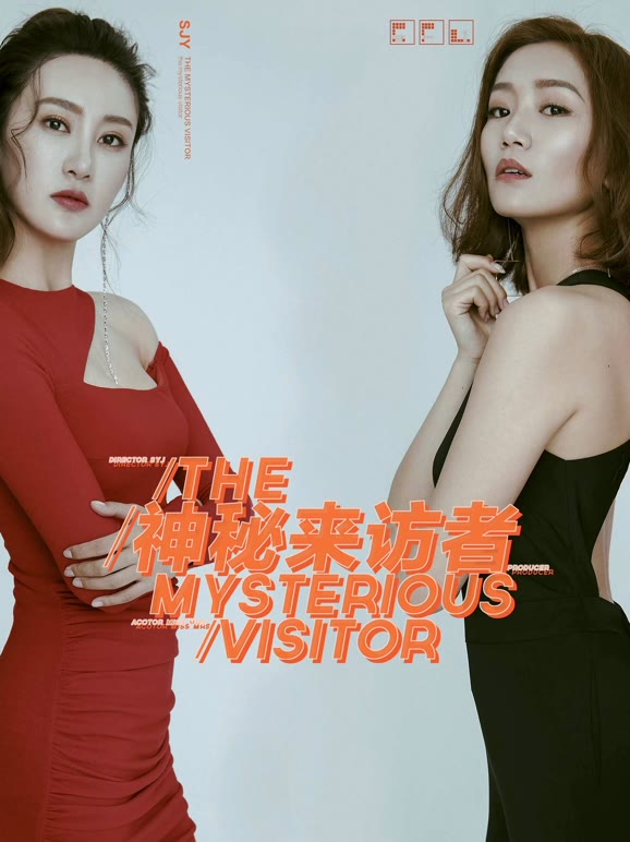 神秘来访者}