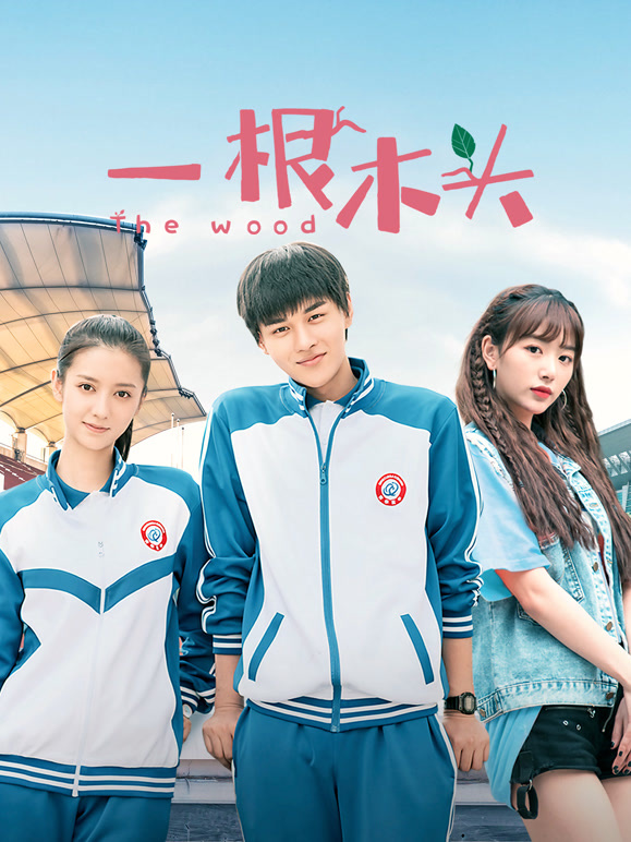 一根木头第一季}