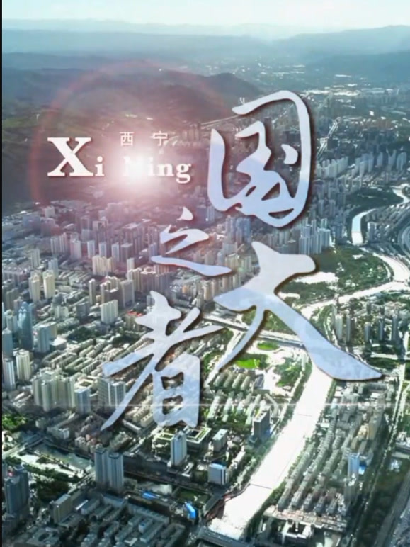 国之大者}