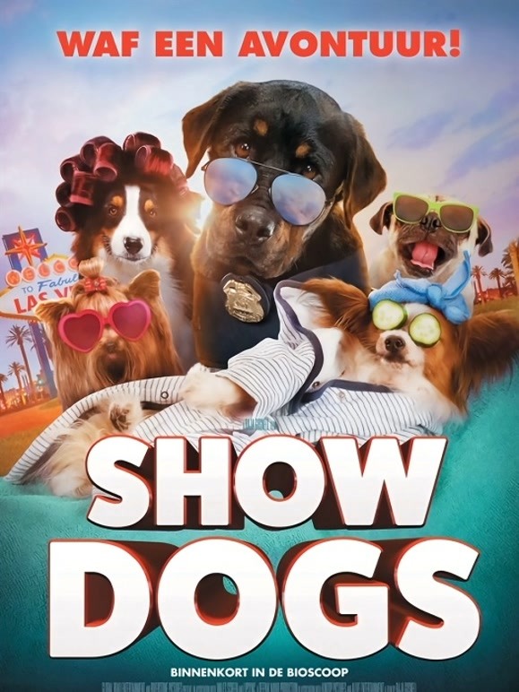 汪星卧底普通话}