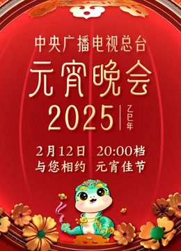 2025年中央广播电视总台元宵晚会}