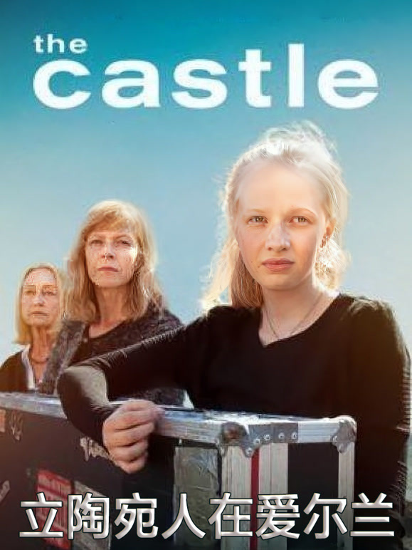 立陶宛人在爱尔兰}