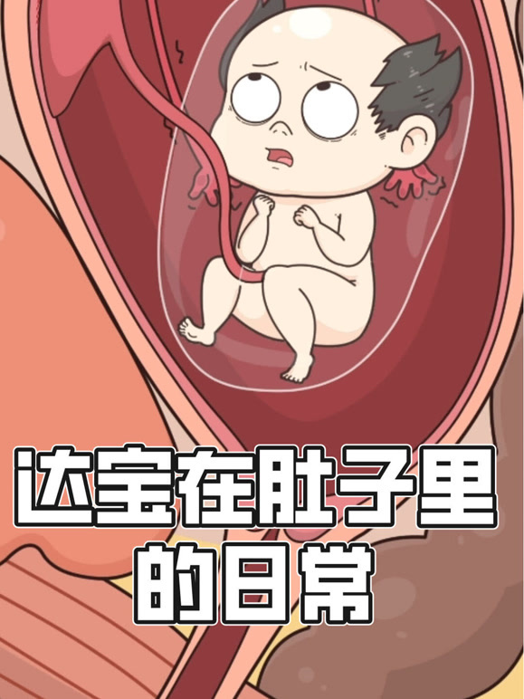 达宝在肚子里的日常动态漫画}