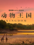动物王国配音版}