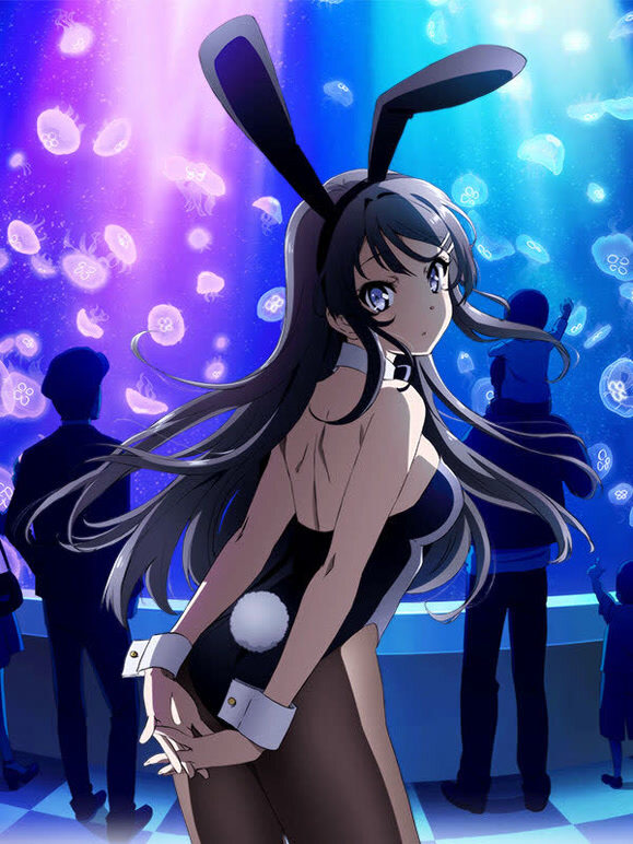 青春猪头少年不会梦到兔女郎学姐}