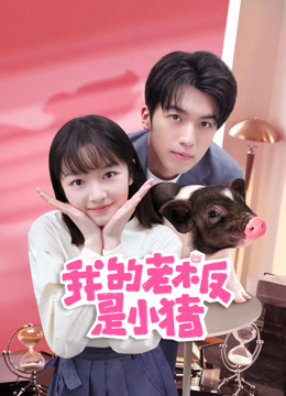 我的老板是小猪}