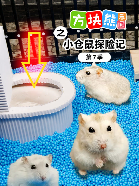 方块熊乐园之小仓鼠探险记第七季}