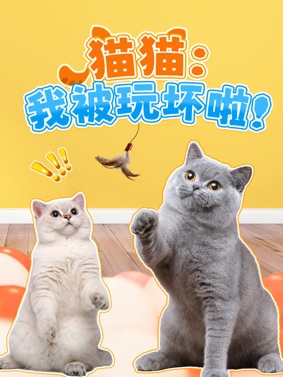 猫猫我被玩坏啦}