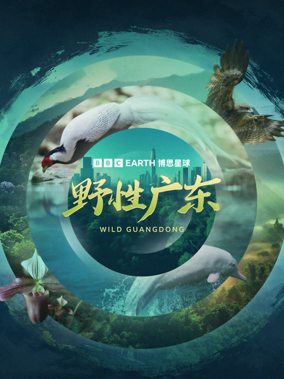 野性广东中文}