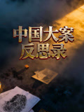 中国大案反思录}