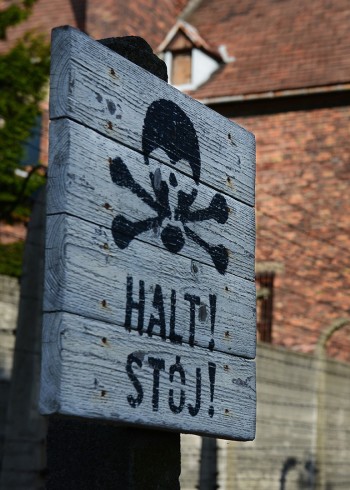 奥斯维辛的启示}