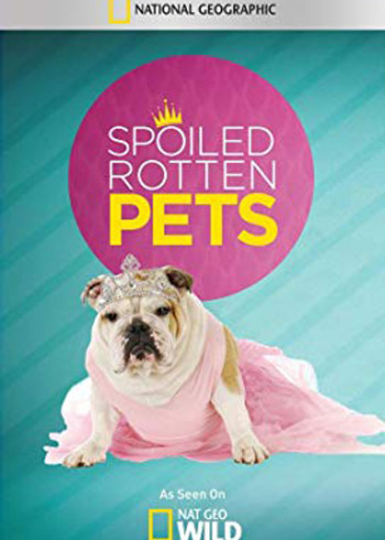 爱宠生活大揭秘}