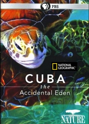 古巴：意外的伊甸园}
