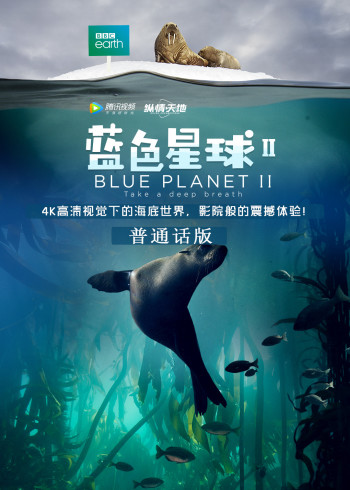 蓝色星球第二季普通话}