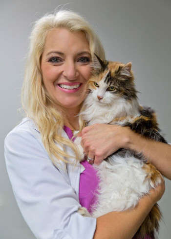 动物神医精选集}