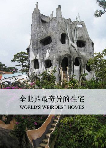 全世界最奇异的住宅}