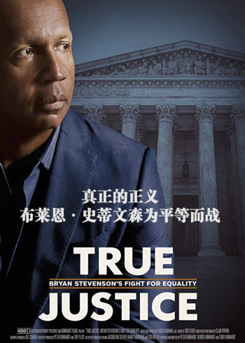 真正的正义：布莱恩·史蒂文森为平等而战}