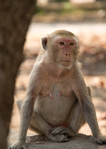 玩命接触第二季}