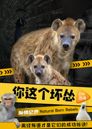 你这个坏怂普通话}