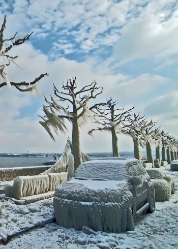 自然界怪奇事件第一季}