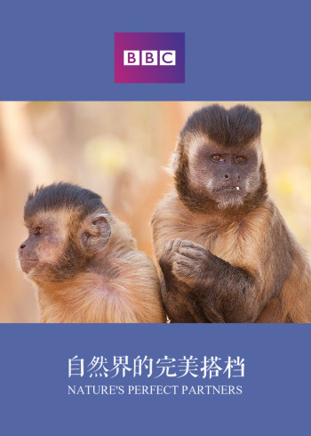 自然世界：自然界的完美搭档}