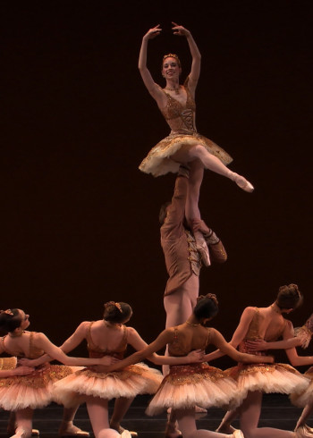 芭蕾人生第一季}