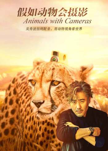 假如动物会摄影普通话}