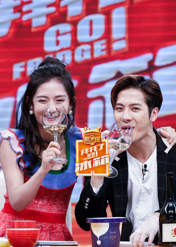 拜托了冰箱中国版第三季}