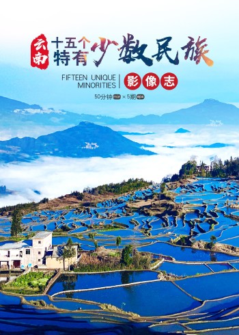 中国云南十五个特有少数民族影像志}