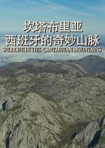 坎塔布里亚：西班牙的奇妙山脉}