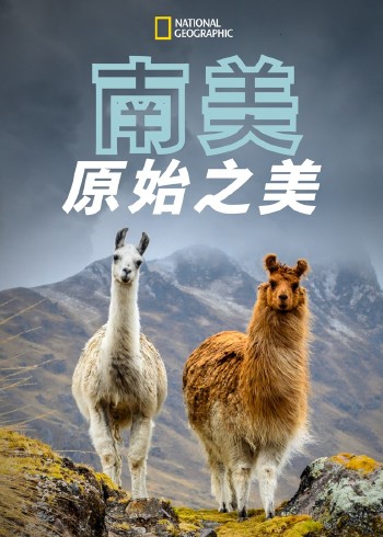 南美原始之美}
